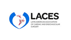 laces